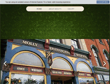Tablet Screenshot of mollybrannigans.com